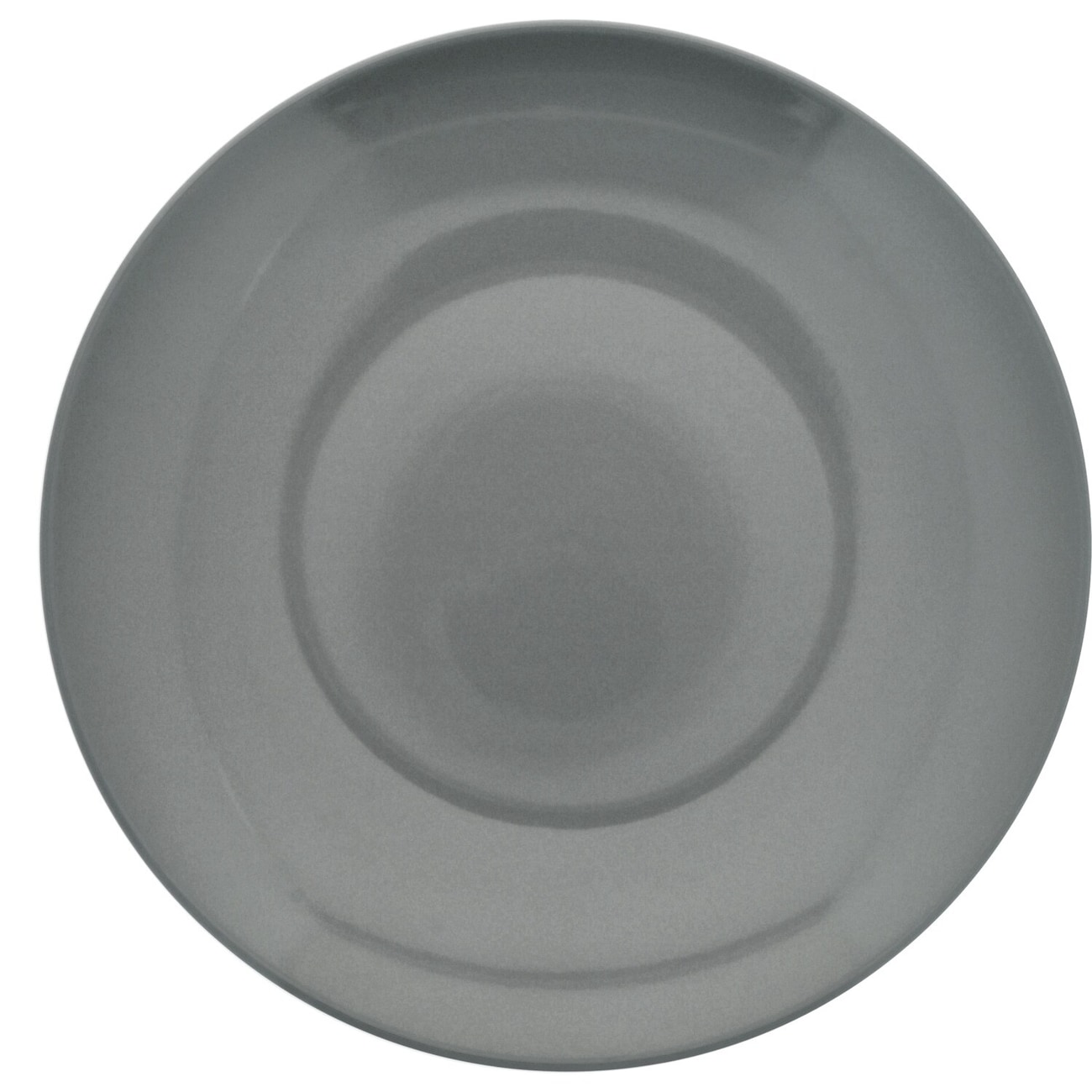 Gray Stoneware Dinner Plates, 10.5 in